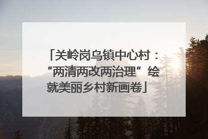 关岭岗乌镇中心村：“两清两改两治理”绘就美丽乡村新画卷