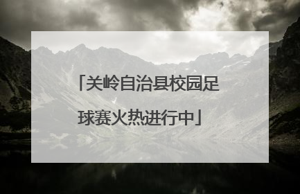 关岭自治县校园足球赛火热进行中