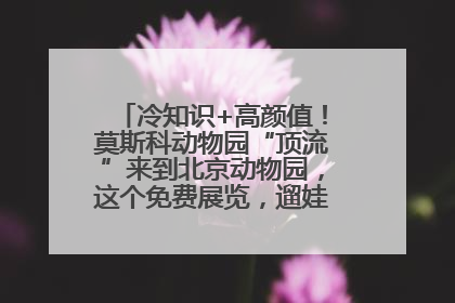 冷知识+高颜值！莫斯科动物园“顶流”来到北京动物园，这个免费展览，遛娃拍照两不误！