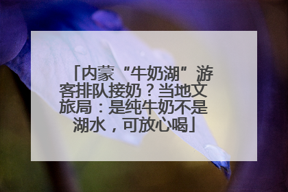 内蒙“牛奶湖”游客排队接奶？当地文旅局：是纯牛奶不是湖水，可放心喝