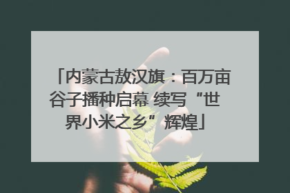 内蒙古敖汉旗：百万亩谷子播种启幕 续写“世界小米之乡”辉煌