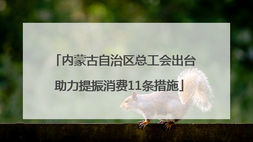 内蒙古自治区总工会出台助力提振消费11条措施