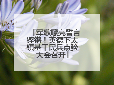 军歌嘹亮誓言铿锵！英德下太镇基干民兵点验大会召开