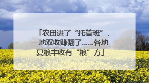 农田进了“托管班”、一地双收赚翻了……各地夏粮丰收有“粮”方