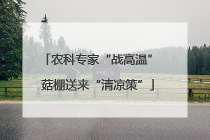 农科专家“战高温” 菇棚送来“清凉策”