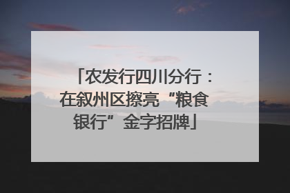 农发行四川分行：在叙州区擦亮“粮食银行”金字招牌