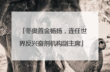 冬奥首金杨扬，连任世界反兴奋剂机构副主席