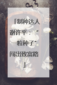 制种达人谢许平：“一粒种子”闯出致富路