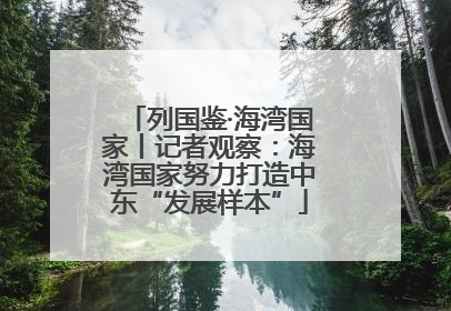 列国鉴·海湾国家丨记者观察：海湾国家努力打造中东“发展样本”