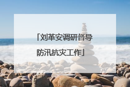 刘革安调研督导防汛抗灾工作
