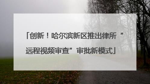 创新！哈尔滨新区推出律所“远程视频审查”审批新模式