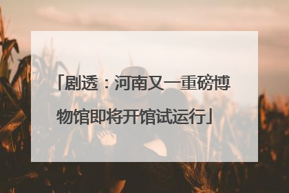 剧透：河南又一重磅博物馆即将开馆试运行