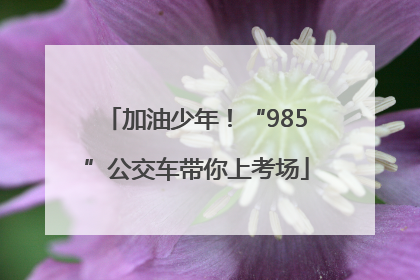 加油少年！“985”公交车带你上考场