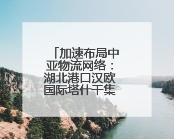 加速布局中亚物流网络：湖北港口汉欧国际塔什干集散中心启用
