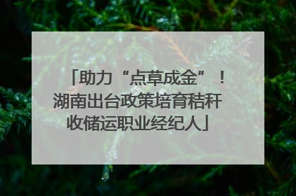 助力“点草成金”！湖南出台政策培育秸秆收储运职业经纪人