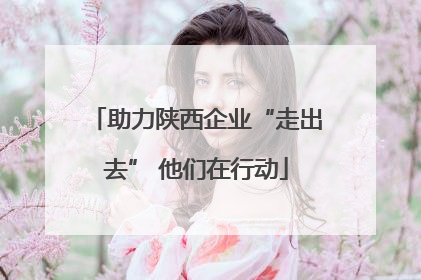助力陕西企业“走出去” 他们在行动