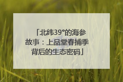 北纬39°的海参故事：上品堂春捕季背后的生态密码