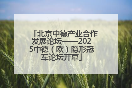 北京中德产业合作发展论坛——2025中德（欧）隐形冠军论坛开幕