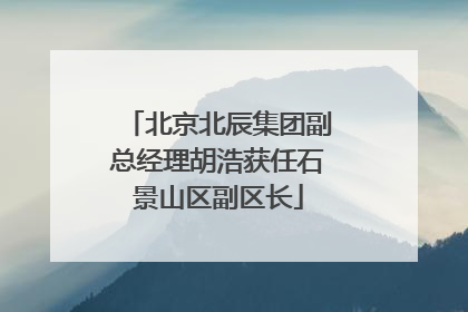 北京北辰集团副总经理胡浩获任石景山区副区长