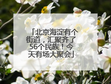 北京海淀有个街道，汇聚齐了56个民族！今天有场大聚会