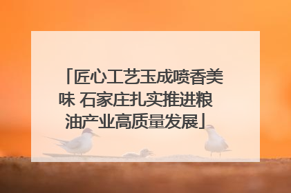 匠心工艺玉成喷香美味 石家庄扎实推进粮油产业高质量发展