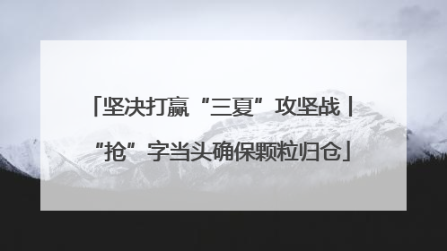 坚决打赢“三夏”攻坚战丨“抢”字当头确保颗粒归仓