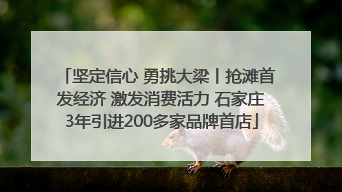 坚定信心 勇挑大梁丨抢滩首发经济 激发消费活力 石家庄3年引进200多家品牌首店