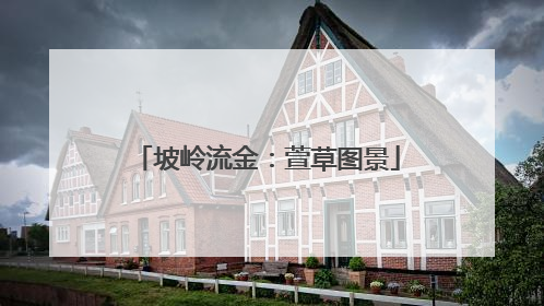 坡岭流金：萱草图景