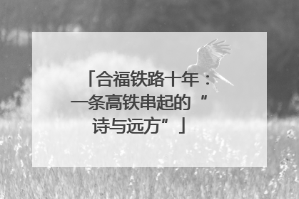合福铁路十年：一条高铁串起的“诗与远方”