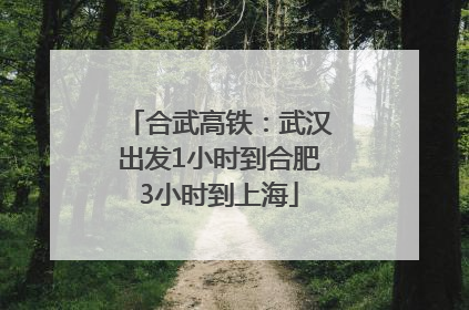 合武高铁：武汉出发1小时到合肥3小时到上海
