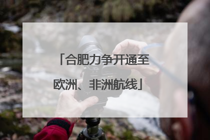 合肥力争开通至欧洲、非洲航线