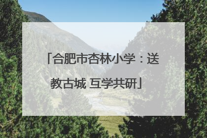 合肥市杏林小学：送教古城 互学共研