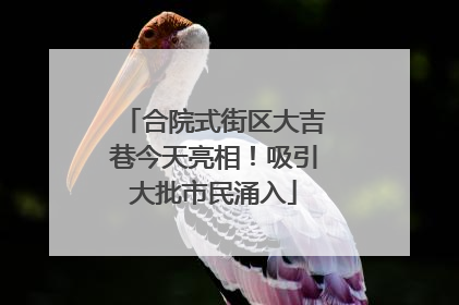 合院式街区大吉巷今天亮相！吸引大批市民涌入