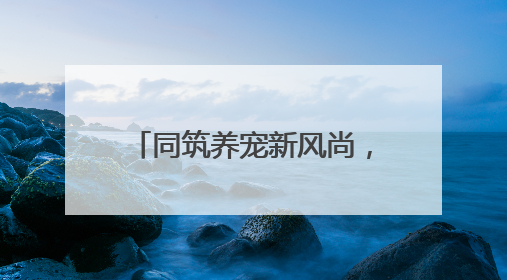 同筑养宠新风尚，小细节彰显大文明
