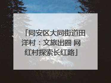 同安区大同街道田洋村：文旅出圈 网红村探索长红路