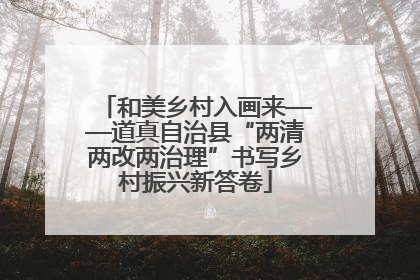 和美乡村入画来——道真自治县“两清两改两治理”书写乡村振兴新答卷