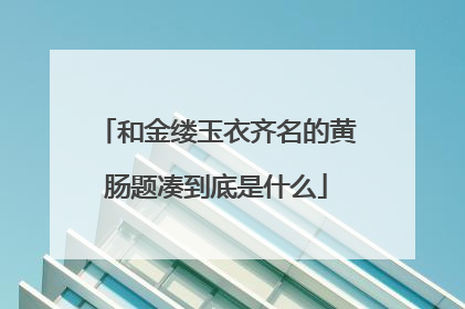 和金缕玉衣齐名的黄肠题凑到底是什么