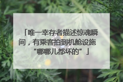 唯一幸存者描述惊魂瞬间，有乘客拍到机舱设施“哪哪儿都坏的”
