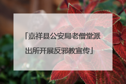 嘉祥县公安局老僧堂派出所开展反邪教宣传
