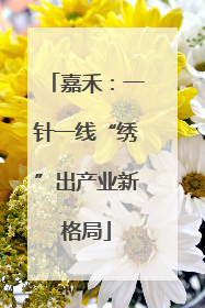 嘉禾：一针一线“绣”出产业新格局