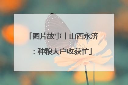 图片故事丨山西永济：种粮大户收获忙