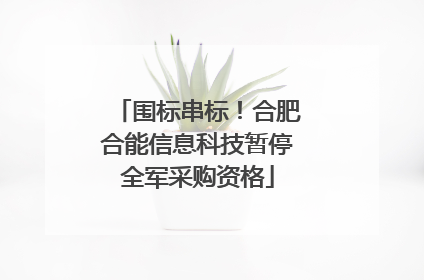 围标串标！合肥合能信息科技暂停全军采购资格