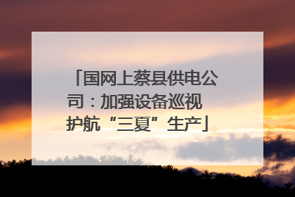 国网上蔡县供电公司：加强设备巡视 护航“三夏”生产
