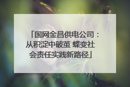 国网金昌供电公司：从积淀中破茧 蝶变社会责任实践新路径