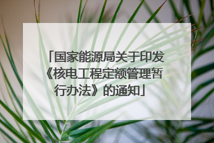 国家能源局关于印发《核电工程定额管理暂行办法》的通知