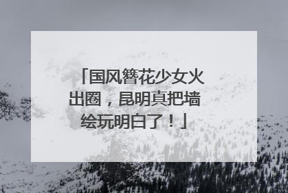 国风簪花少女火出圈，昆明真把墙绘玩明白了！