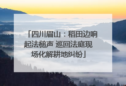 四川眉山：稻田边响起法槌声 巡回法庭现场化解耕地纠纷