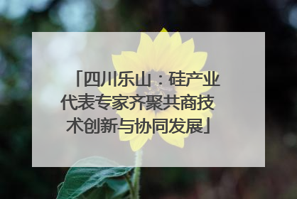 四川乐山：硅产业代表专家齐聚共商技术创新与协同发展