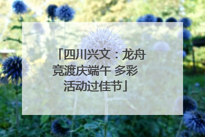 四川兴文：龙舟竞渡庆端午 多彩活动过佳节