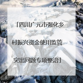 四川广元市强化乡村振兴资金使用监管突出问题专项整治